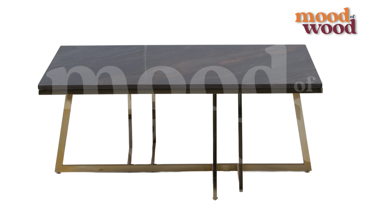Modern Design Coffee Table
