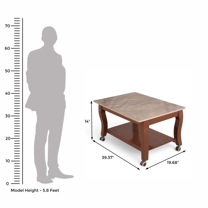 Brown Wooden & Marble Coffee Table