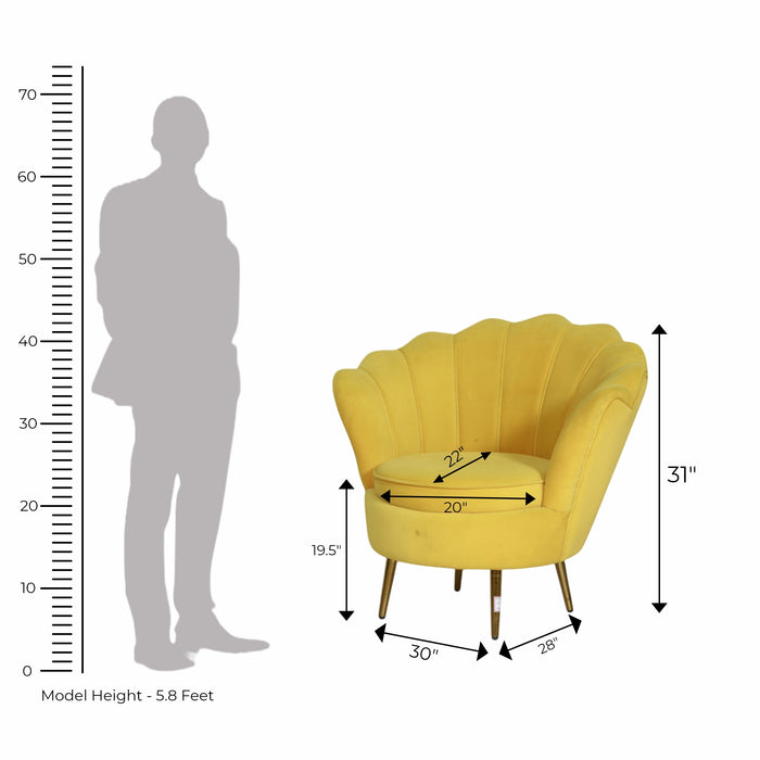 Velvet Shell Accent Single Seater Chair