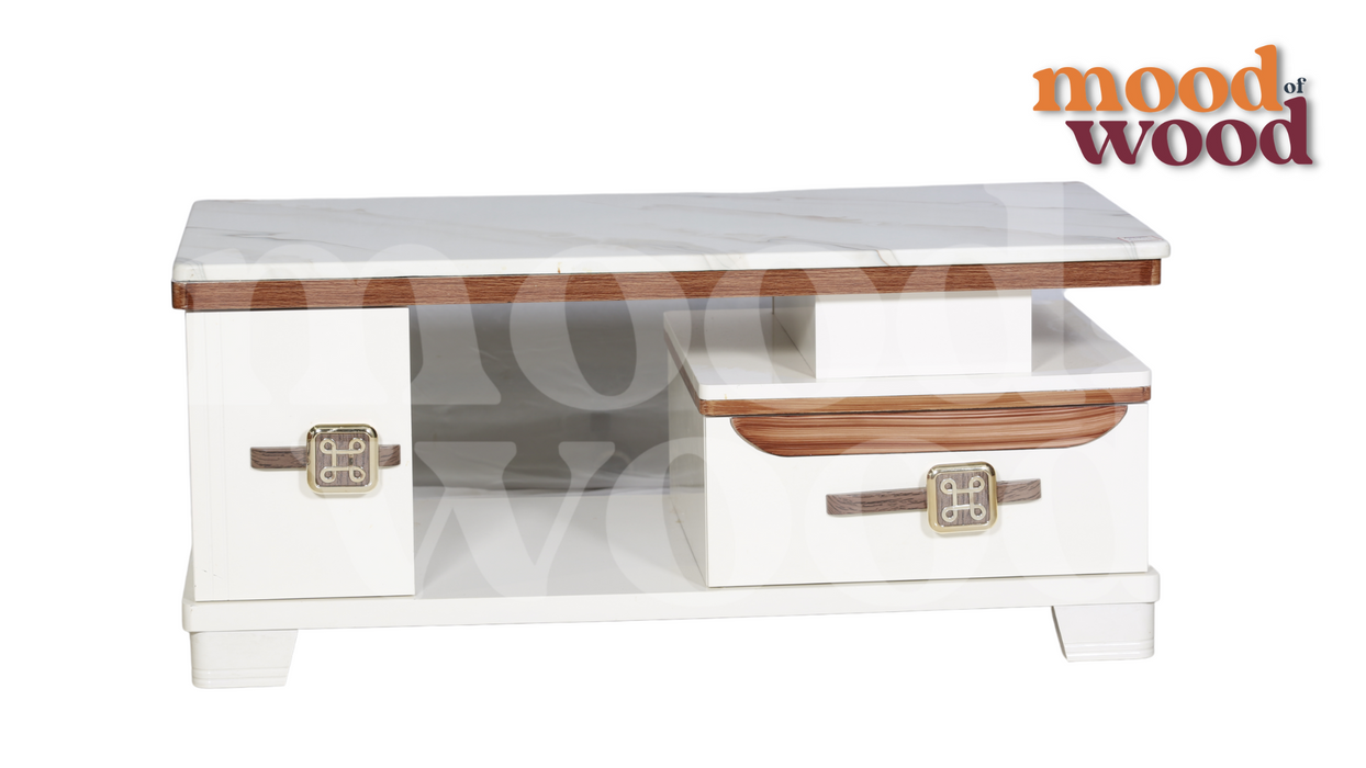 Modern Design Coffee Table