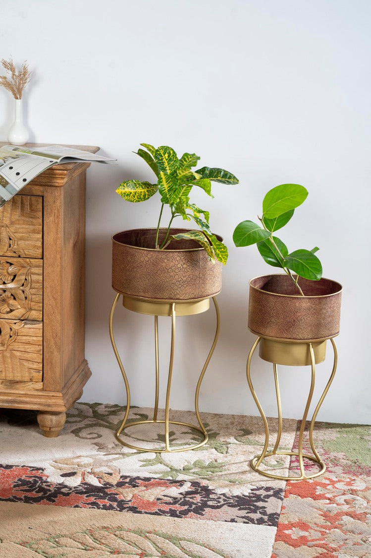 Vases and Planter