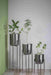 Bring a taste of the green outdoors into the comfort of your own home with just the addition of some fresh plants. Use this modern inspired pot planter to grow your favorite flower, cactus, herb and more. It features a geometric stand, that allows this piece to be placed on the ground next to a desk, fireplace, or seating arrangement. The planter itself is crafted from galvanized metal.