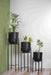 Bring a taste of the green outdoors into the comfort of your own home with just the addition of some fresh plants. Use this modern inspired pot planter to grow your favorite flower, cactus, herb and more. It features a geometric stand, that allows this piece to be placed on the ground next to a desk, fireplace, or seating arrangement. The planter itself is crafted from galvanized metal.