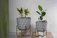 Bring a taste of the green outdoors into the comfort of your own home with just the addition of some fresh plants. Use this modern inspired pot planter to grow your favorite flower, cactus, herb and more. It features a geometric stand, that allows this piece to be placed on the ground next to a desk, fireplace, or seating arrangement. The planter itself is crafted from galvanized metal.